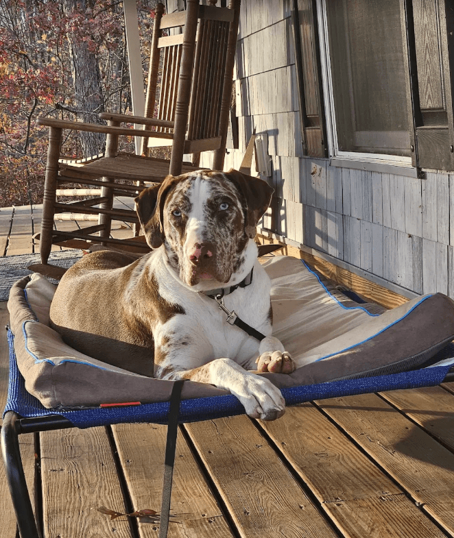 Transformational Training