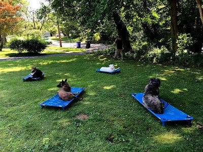 Reactivity Training & Rehabilitation