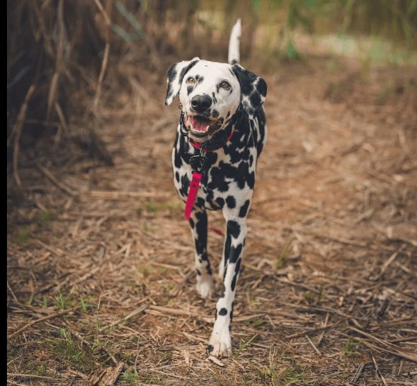 Relationship Building